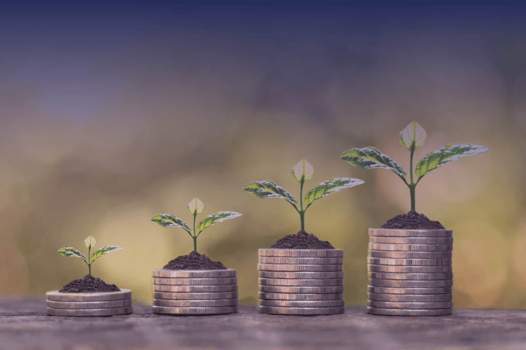 Defynance Fund interest-free income-sharing model infographic